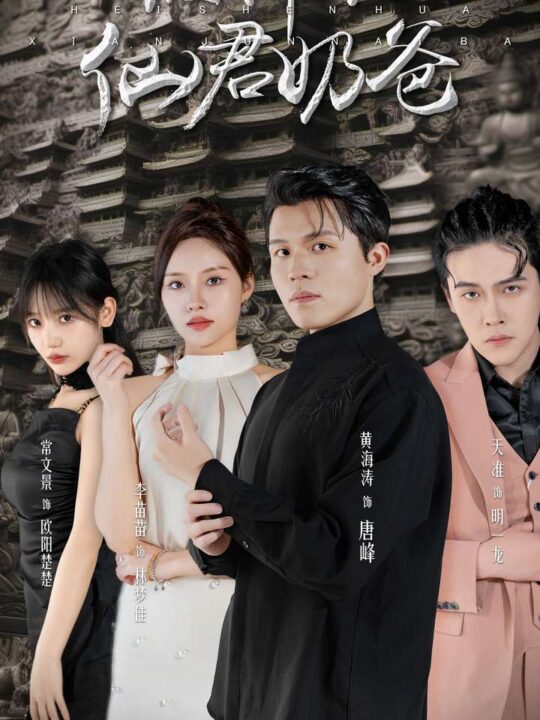 11929-黑神话仙君奶爸(79集)