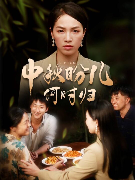 12018-中秋盼儿何时归(40集)