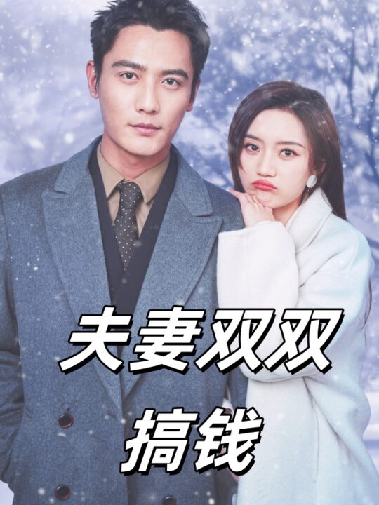 11815-夫妻双双搞钱(82集)刘擎