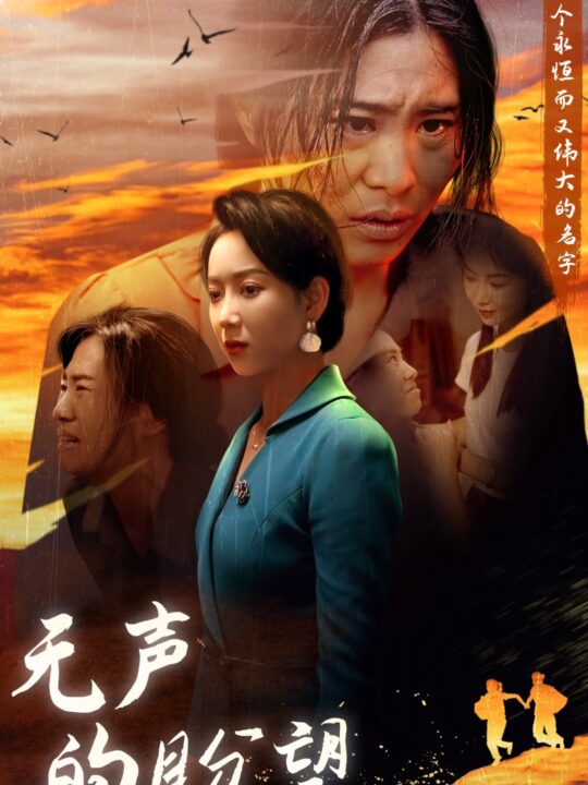 11855-无声的盼望(43集)