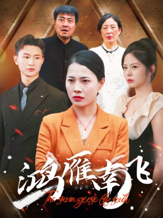 12433-鸿雁南飞(64集)