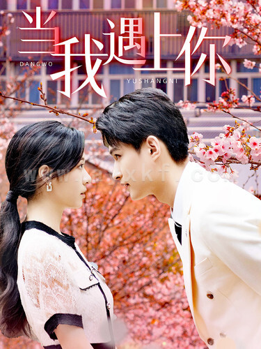 11650-当我遇上你(100集)