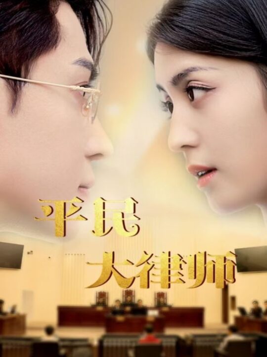 11495-平民大律师(95集)