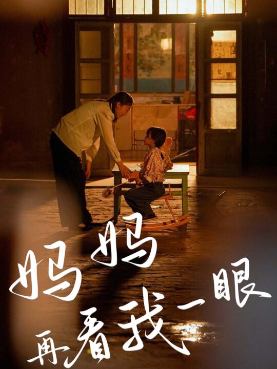 12078-妈妈再看我一眼(32集)