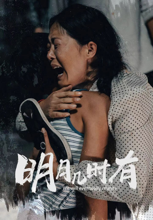 12238-明月几时有(40集)