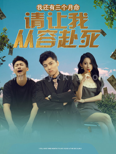 11693-我还有三个月命-请让我从容赴死(90集)