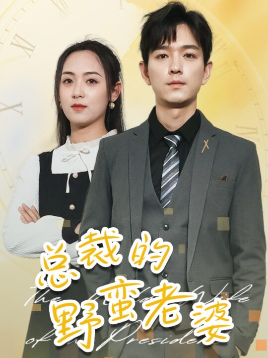 11767-总裁的野蛮老婆(75集)李雪阳