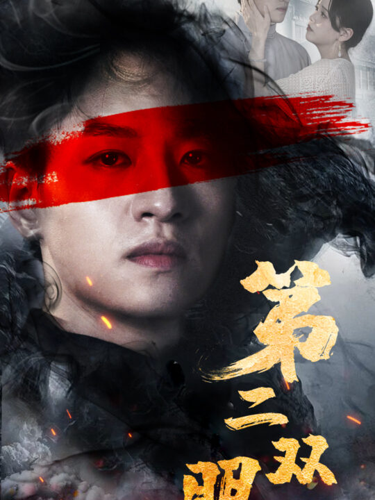 12001-第二双眼(90集)