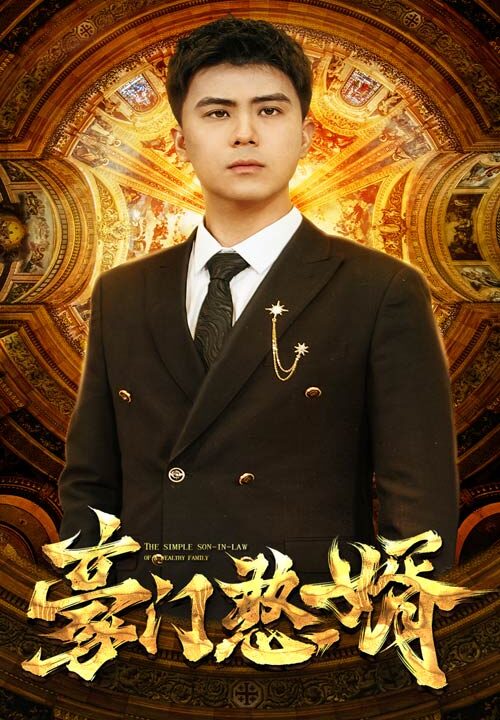 12088-豪门憨婿(61集)