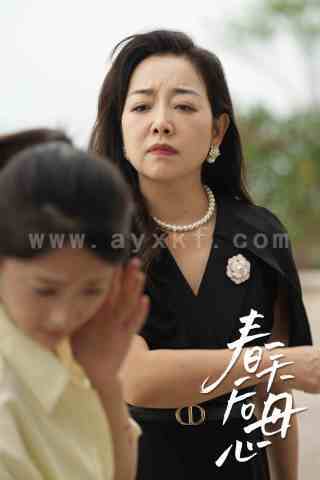 11452-春天后母心(65集)