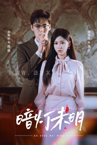 12245-暗灯未明(72集)柴慧欣