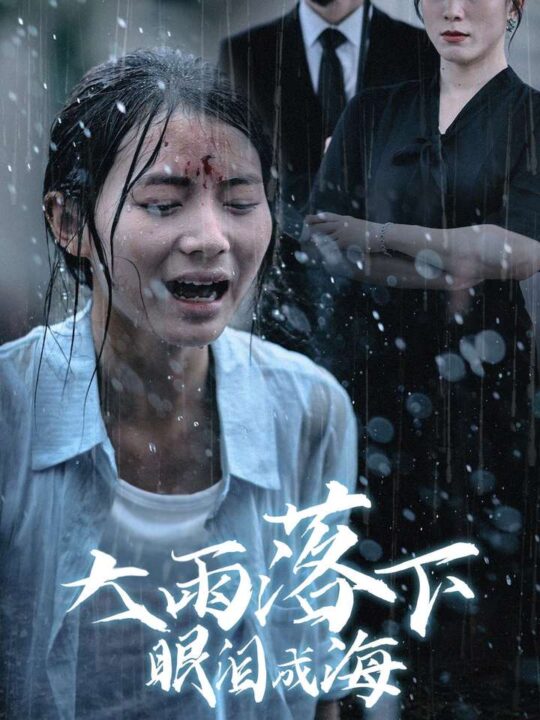 12182-大雨落下眼泪成海(68集)君洋