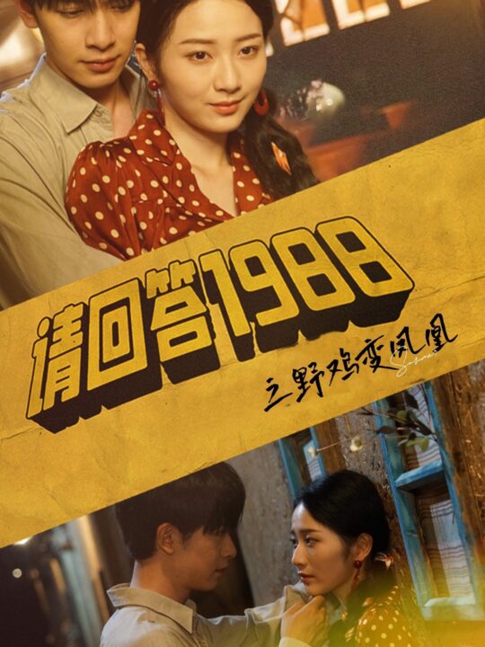 11816-请回答1988之野鸡变凤凰(81集)