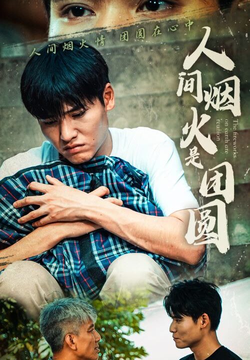 12225-人间烟火是团圆(88集)