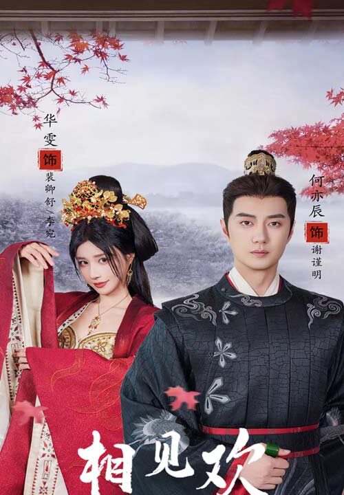 12330-相见欢(61集)