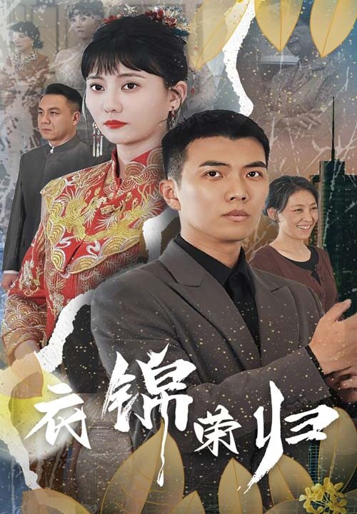 11819-衣锦荣归(81集)