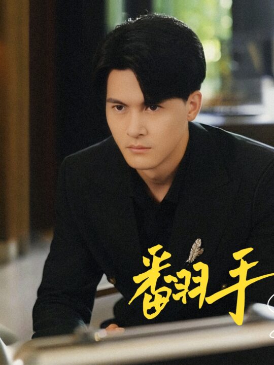 12002-翻手为云(70集)擦边剧