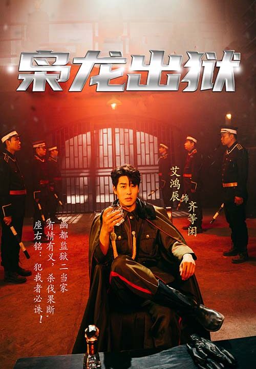 12293-枭龙出狱(99集)