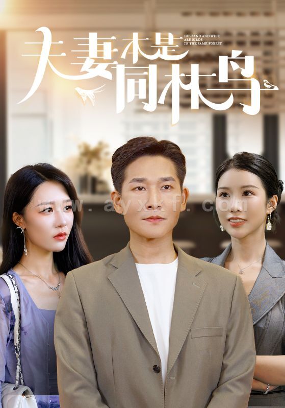 12117-夫妻本是同林鸟(76集)李可馨 钟莹玲 内容图1 一个实时收录全网最齐全的短视频短剧网剧小剧场的网站! 12117-夫妻本是同林鸟(76集)李可馨 钟莹玲 最新 图1张