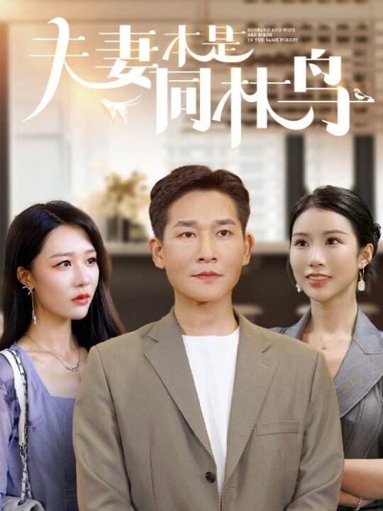 12117-夫妻本是同林鸟(76集)李可馨 钟莹玲