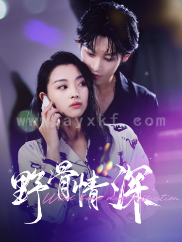 11618-野骨情深(100集) 最新 图1张