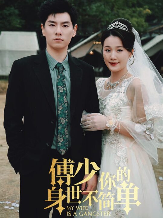 11756-傅少你的身世不简单(89集)