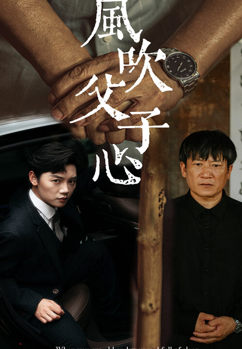 12237-风吹父子心(65集)