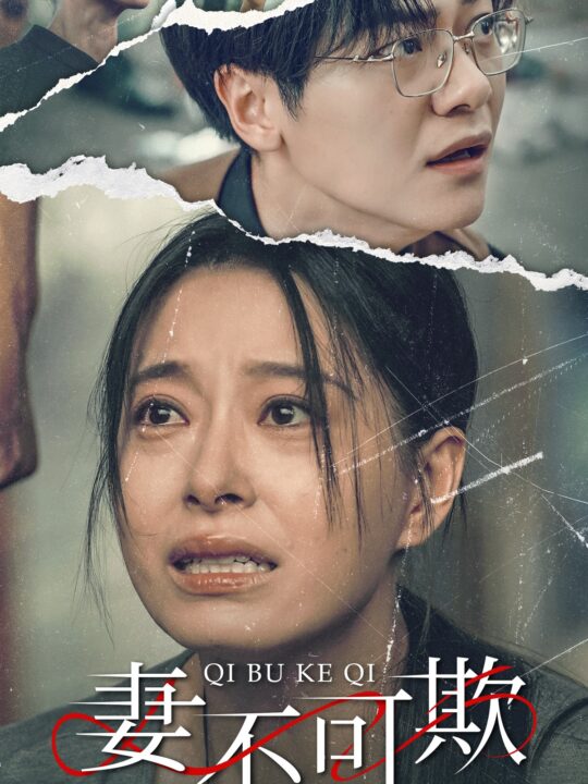 11591-妻不可欺(51集)