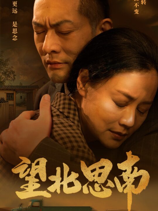 12201-望北思南(49集)