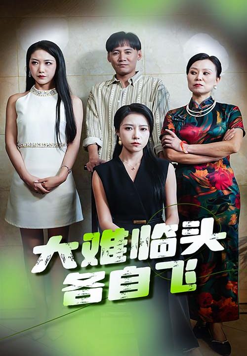 12377-大难临头各自飞(66集)