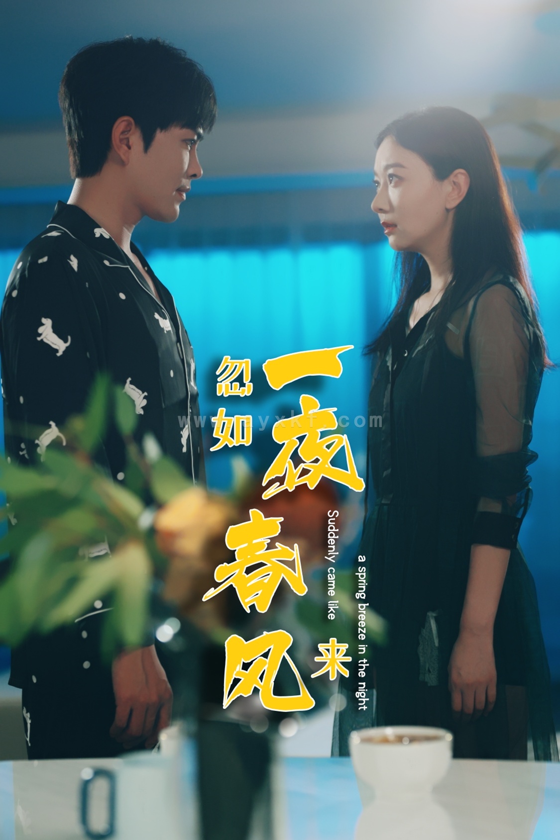 12343-忽如一夜春风来(28集)徐江帅 最新 图1张