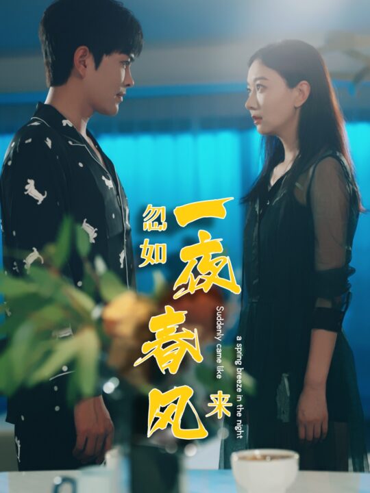 12343-忽如一夜春风来(28集)徐江帅