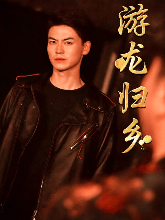 11518-游龙归乡(60集)王惠