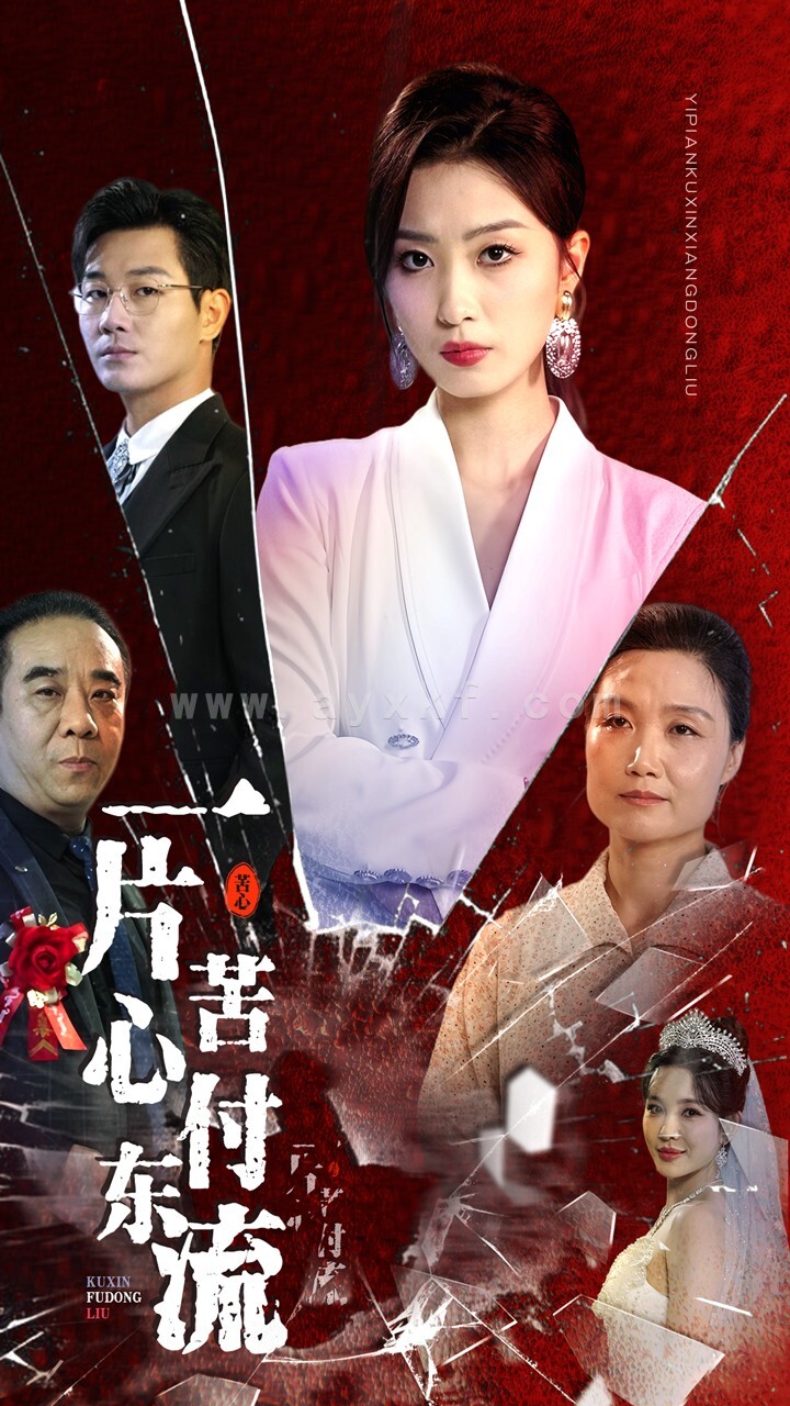 11906-一片苦心付东流$女儿的荣耀(80集)虞彤彤 最新 图1张