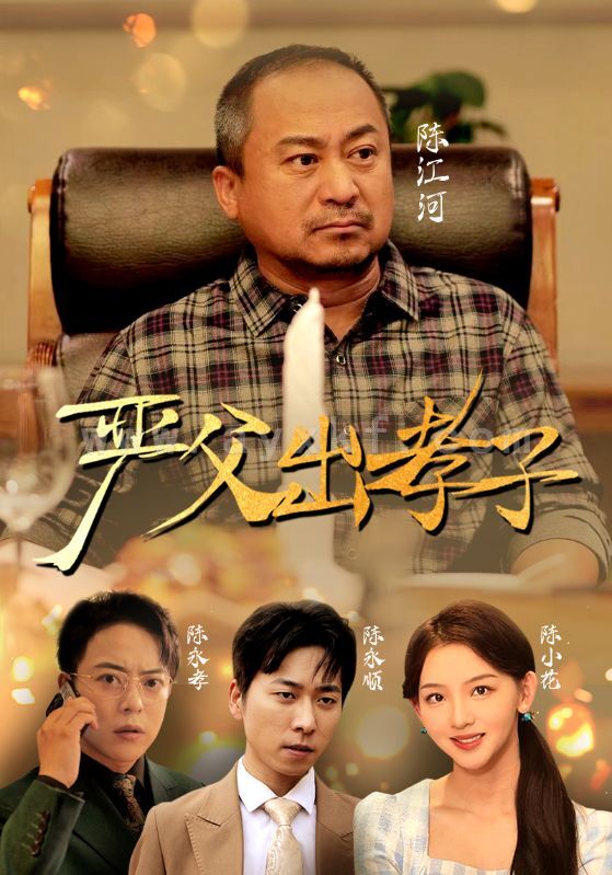 11594-严父出孝子(49集) 最新 图1张