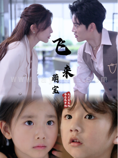 11735-飞来萌宝(81集)王希如