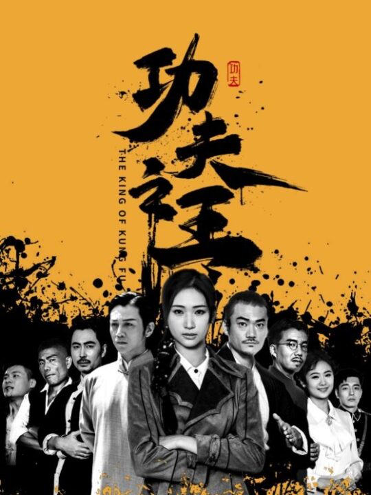 11574-功夫之王(71集)张予湉