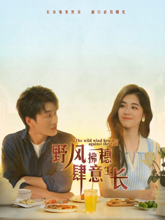 11676-野风拂穗肆意生长(48集)