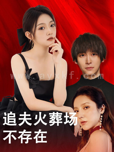 12236-追夫火葬场不存在(100集) 最新 图1张