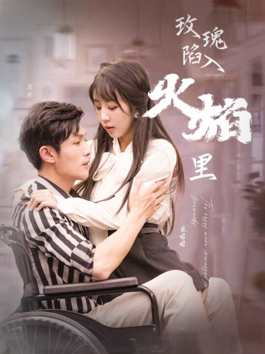 11511-玫瑰陷入火焰里(100集)彭丹丹