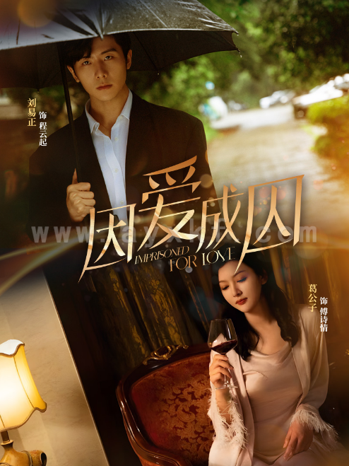 11984-因爱成囚(30集) 最新 图1张