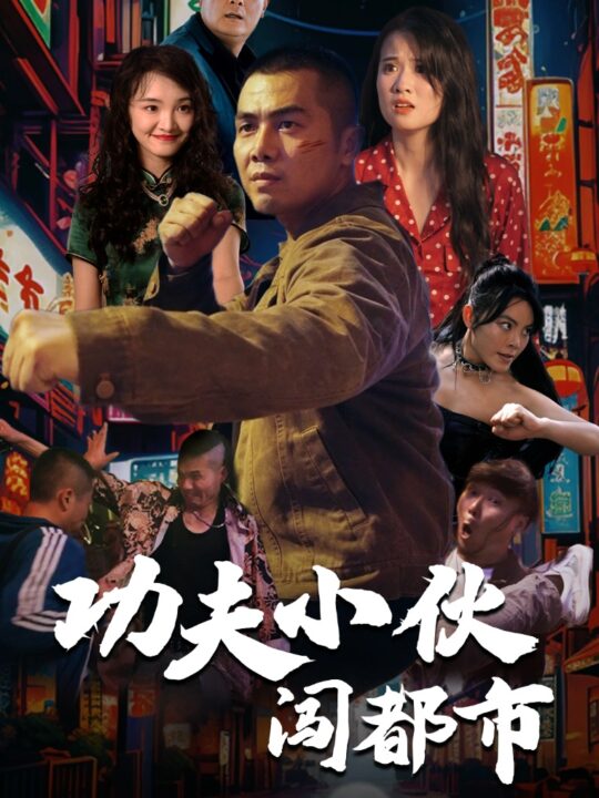 12153-功夫小伙闯都市(51集)