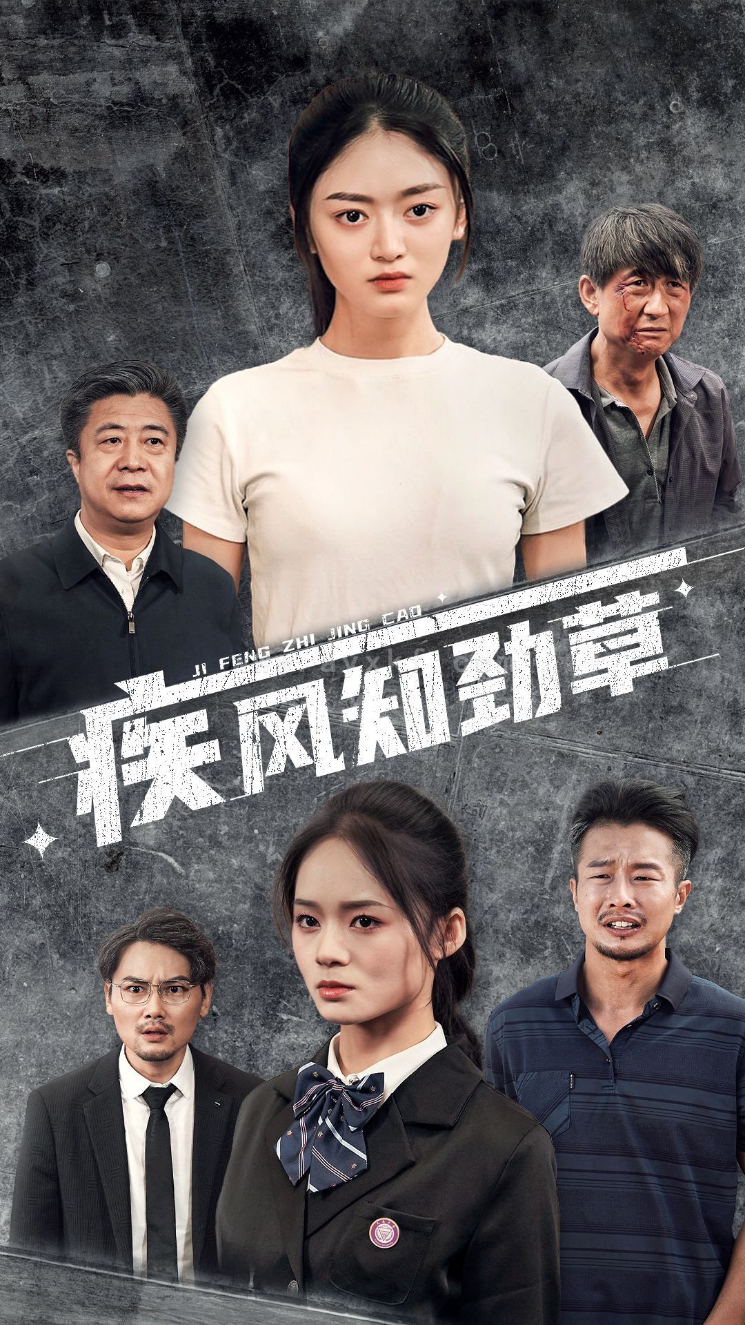 12162-疾风知劲草(52集) 最新 图1张