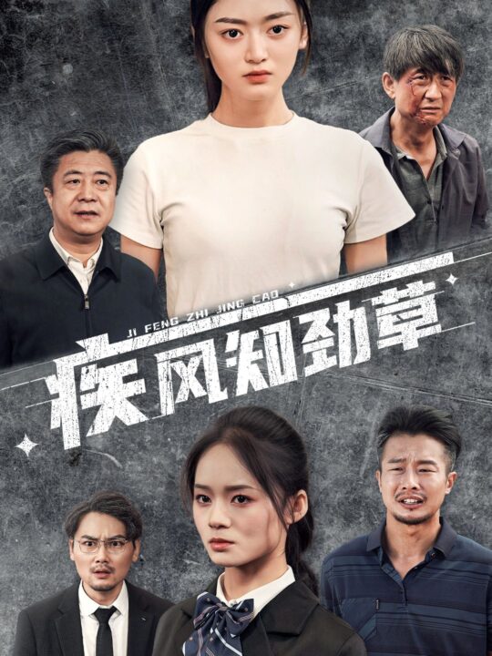 12162-疾风知劲草(52集)