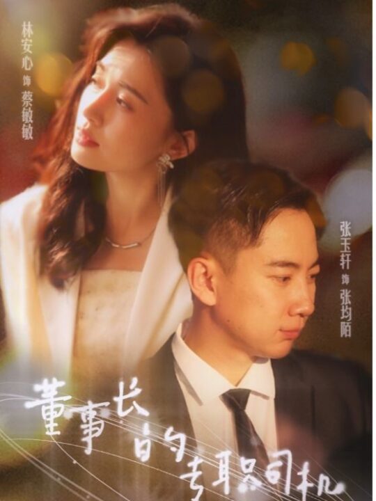 11606-董事长的专职司机(51集)