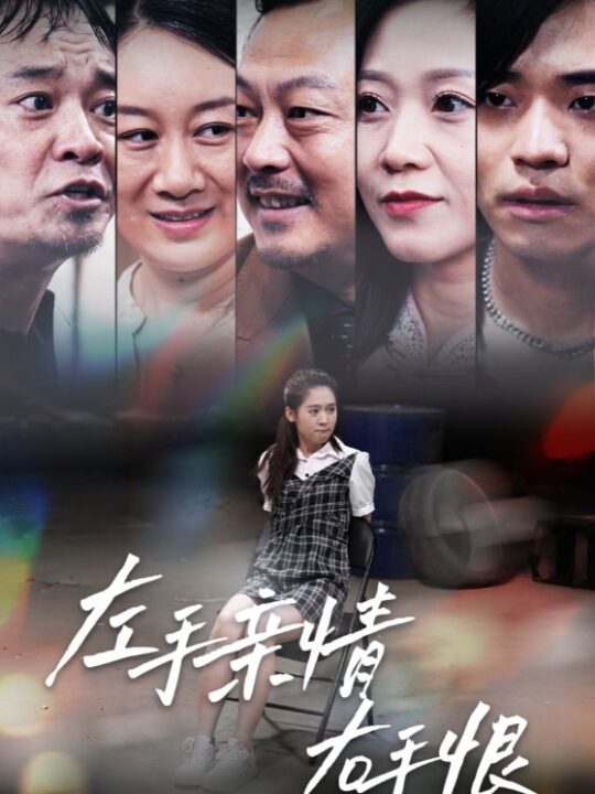11608-左手亲情右手恨(66集)赵冠宇 翟一莹