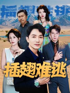 12068-插翅难逃(43集)