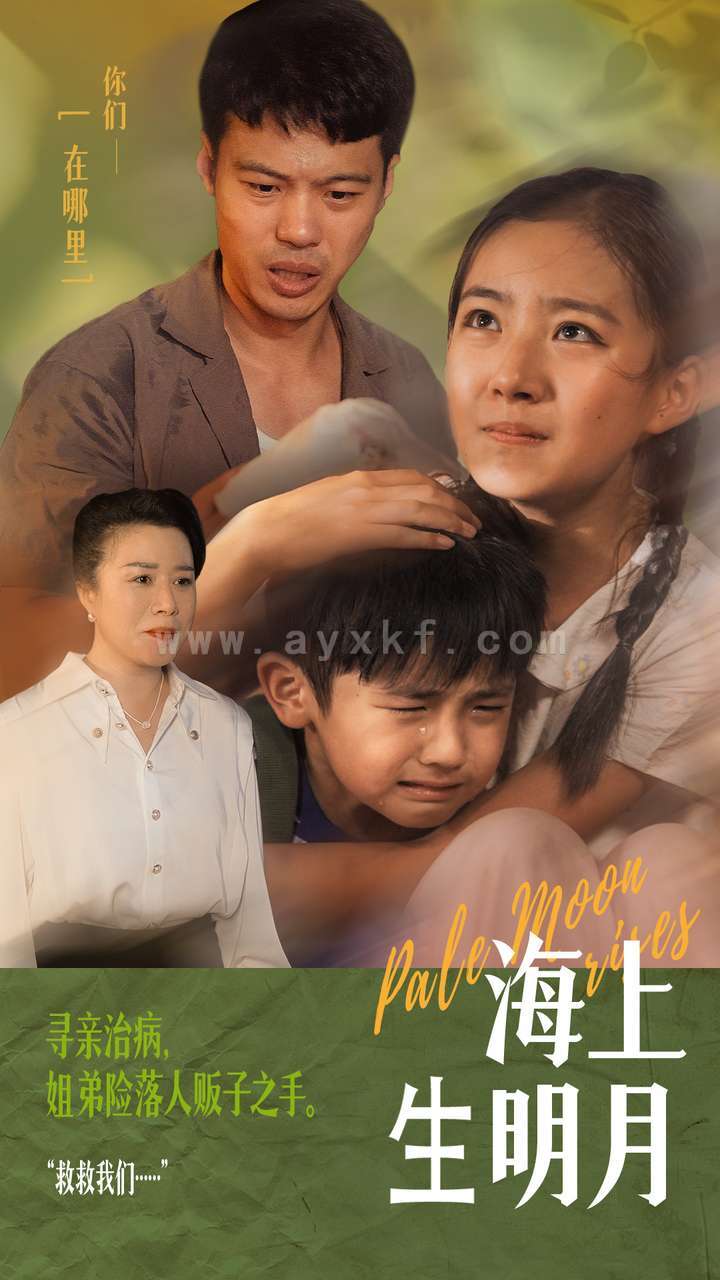 12443-海上生明月(59集) 最新 图1张