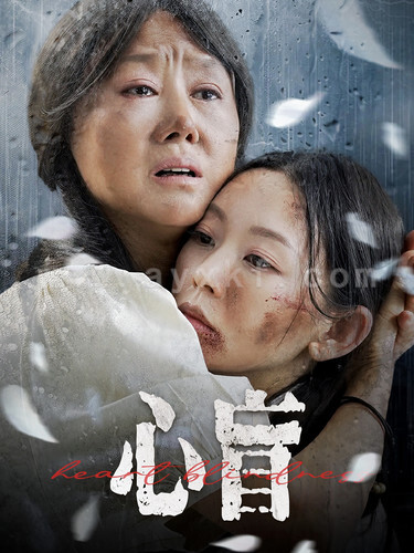 12235-心盲(100集)