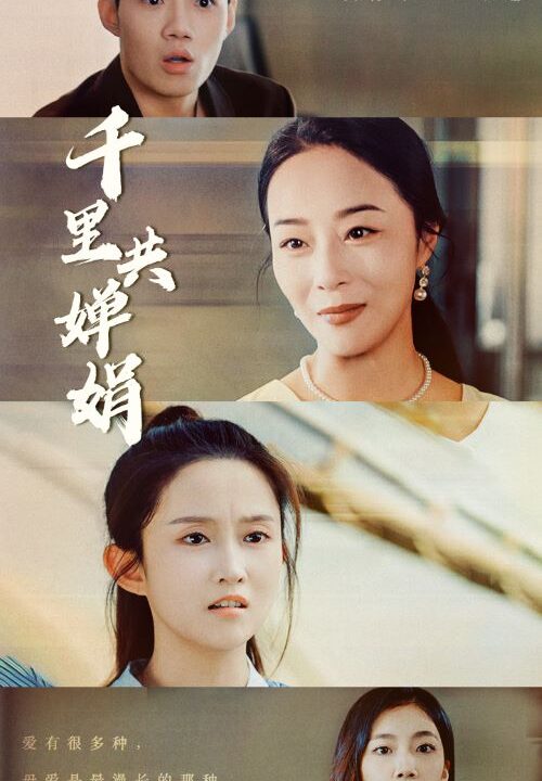 12252-千里共婵娟(64集)